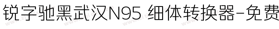 锐字驰黑武汉N95 细体转换器字体转换